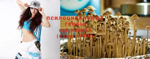 крисы Лабытнанги