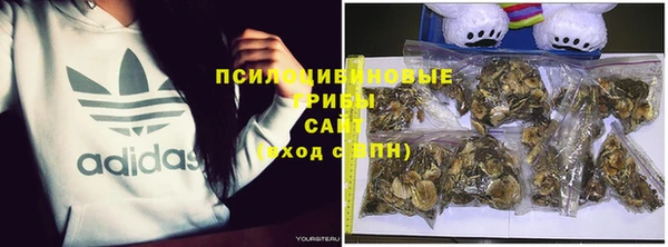 MESCALINE Кукмор