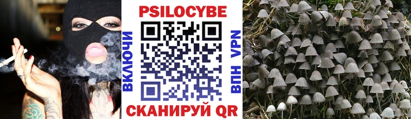 кракен Томилино Псилоцибиновые грибы GOLDEN TEACHER