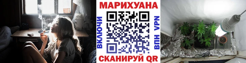 Конопля сатива  Томилино 